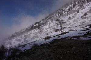 Афон 2016 - 68.jpg