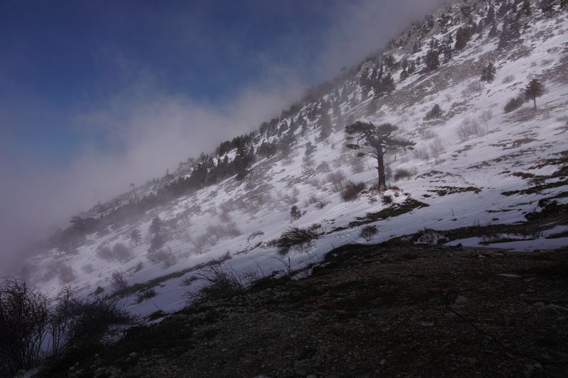 Файл:Афон 2016 - 68.jpg