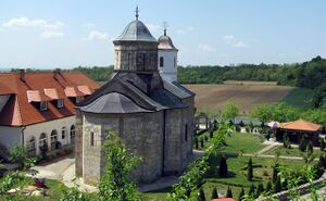 Монастырь Петковица
