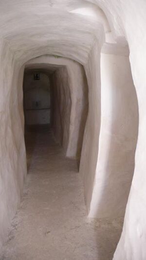 Спасский женский епархиальный монастырь. Кельи подвижников.JPG