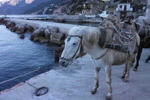 Афон 2016 - 63.jpg