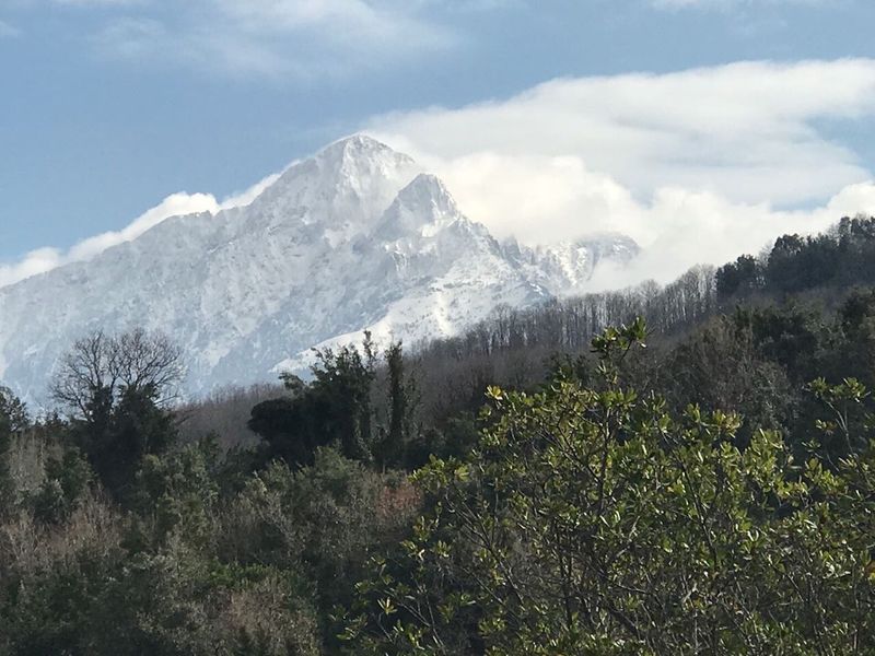 Файл:IMG 6036-19-03-17-02-32.jpeg