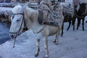 Афон 2016 - 60.jpg