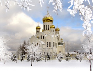 Троице-Владимирский собор (Новосибирск)