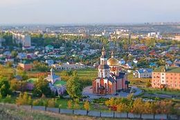 Алексеевский женский монастырь. Вид сверху