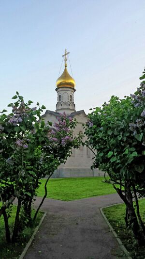 Храм святителя Василия Великого при Всероссийском выставочном центре (Москва).jpg