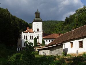 Женский монастырь Врачевшница