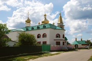 Спасо-Преображенский мужской монастырь (Княжичи)