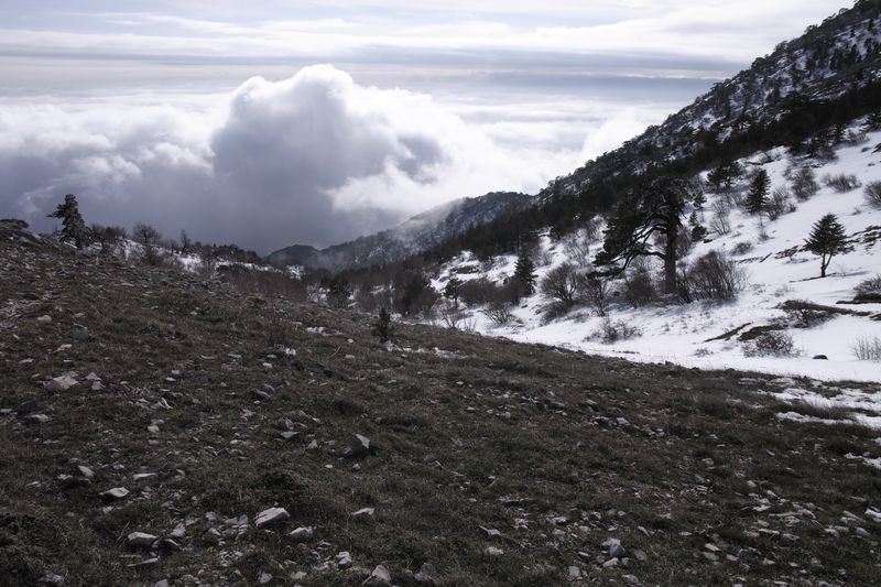 Файл:Афон 2016 - 178.jpg