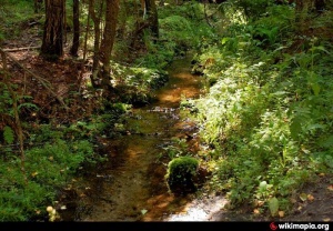 Родник Никола-Ключ