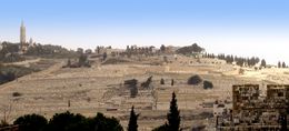 Вид на южную часть Елеонской горы из Старого города Иерусалима