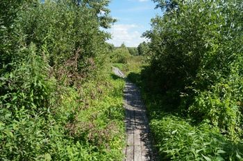 Святой источник Тихона Амафунтского (Саконы)