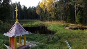 Святой источник «Тихвинской» иконы Божией Матери (Акулова Гора).jpg