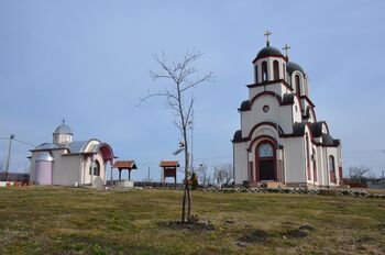 Церковь Троицы Живоначальной (Вирине)