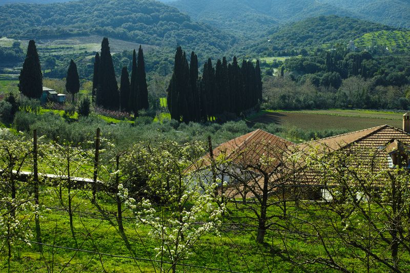 Файл:Афон 2016 - 1.jpg