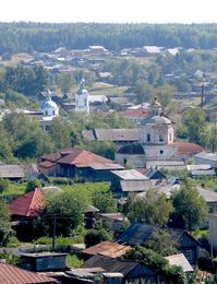 Покровский Верхотурский женский монастырь. Вид сверху