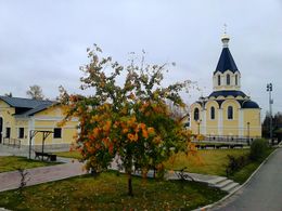 Храм святого князя Александра Невского