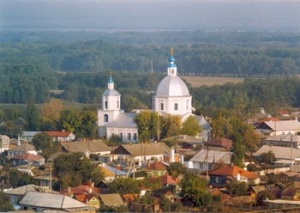 Волгоградская область (храмы), Покровский собор, издали