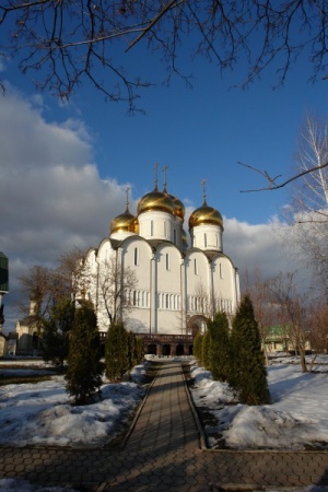 Свято-Успенский Николо-Васильевский монастырь (Никольское)