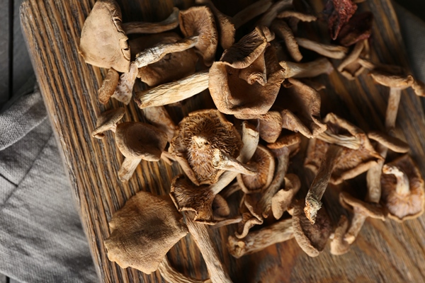 dried mushrooms on cutting board closeup - Грибной порошок