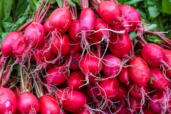red radish for sale at street food market in mountain village sapa vietnam close up - Как лучше сохранить продукты?