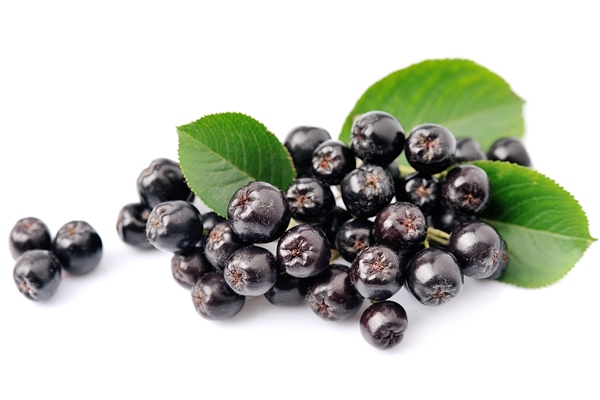 black chokeberry with leaves close up black aronia berries - Компот из слив и черноплодной рябины