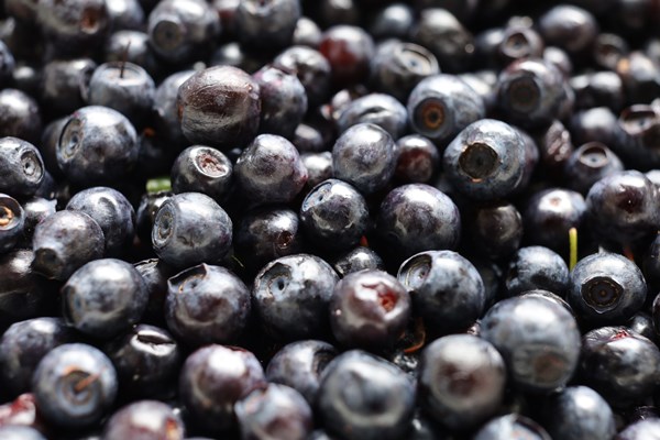 blueberry closeup dark blue berry - Черничный паштет