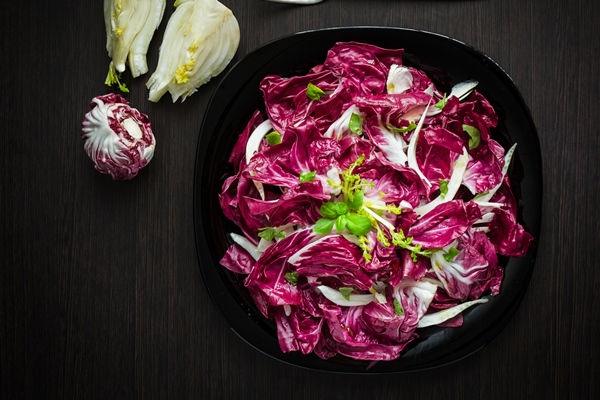 easy diet chicory salad with fennel vegetable salad with endive fresh and healthy italian venetian bitter and spicy tasted red chicory radicchio salad vegetarian food healthy food - Салат-цикорий