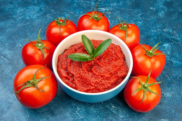 front view fresh tomatoes with tomato paste on blue salad red tree vegetable color food ripe - Борщевая заправка на зиму
