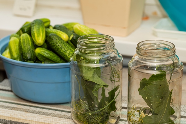 glass jars on the table with herbs for preserving cucumbers - Огурцы "Как из бочки"
