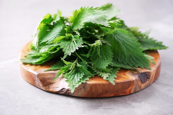green nettle leaves in wooden pot on grey background alternative herbal medicine stinging nettles urtica skin allergy care 1 - Салат из крапивы и одуванчика
