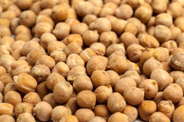 macro shot of soybeans isolate on a background - Библия о пище