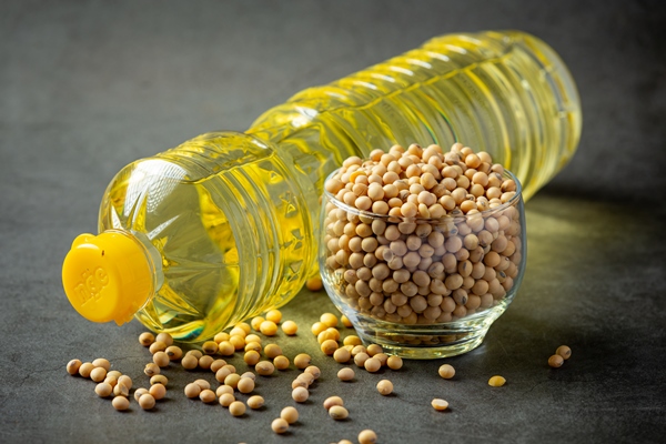 soybean oil soybean food and beverage products food nutrition concept 1 - Постные закусочные блинцы на соевом молоке
