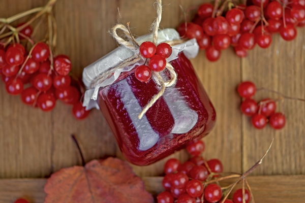 viburnum fruit jam in a glass jar on a wooden table near the ripe red viburnum berries source of natural vitamins used in folk medicine autumn harvest - Калина, перетёртая с сахаром