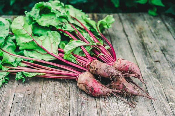 bunch of fresh raw organic beets with leaves on rustic wooden background agriculture soft selective focus - Салат из свекольных листьев