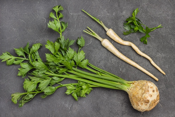 celery tuber with stems and leaves parsley roots flat lay black background - Грибная подливка