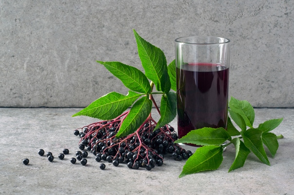 cluster of ripe black elderberry berries with green leaves and drink in glass on gray stone background - Кисель из бузины