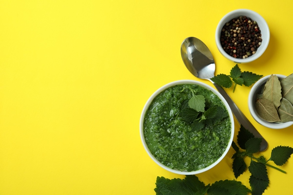 concept of healthy food with nettle soup on yellow table - Крапива солёная
