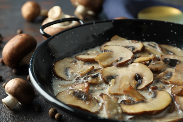 concept of tasty food with mushroom sauce on dark textured background - Соус грибной постный