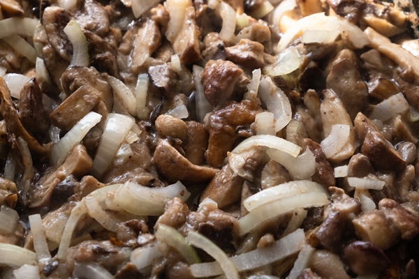 cooking fried mushrooms with onions stir mushrooms - Клёцки с грибами