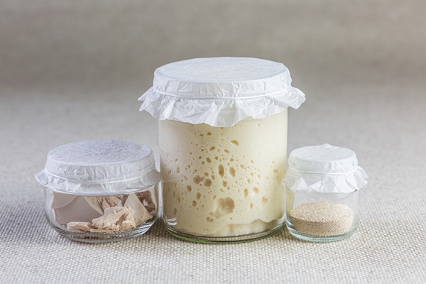 different types of yeast for the preparation of bread products - Фёклин квас