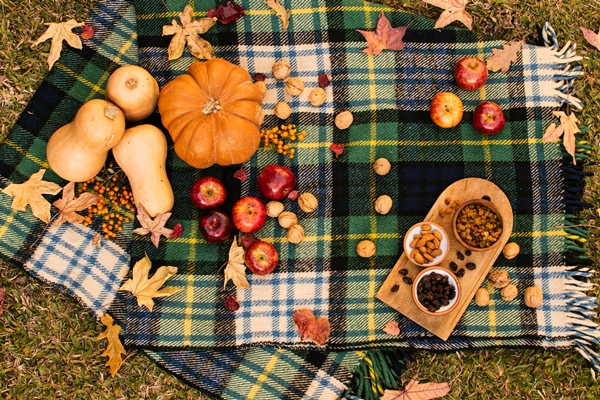 flat lay fall assortment on picnic blanket - Салат из тыквы с мёдом