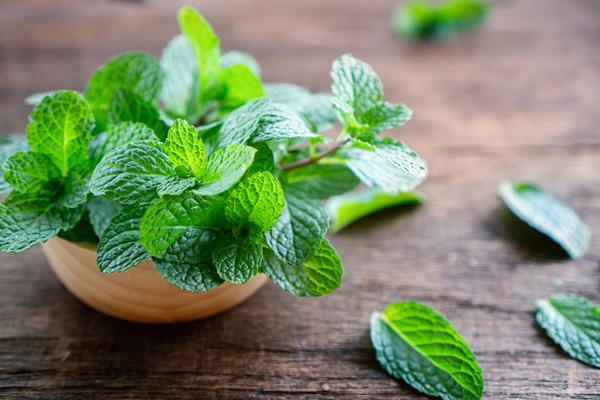 fresh green mint leaves on wooden table closeup - Русский квас
