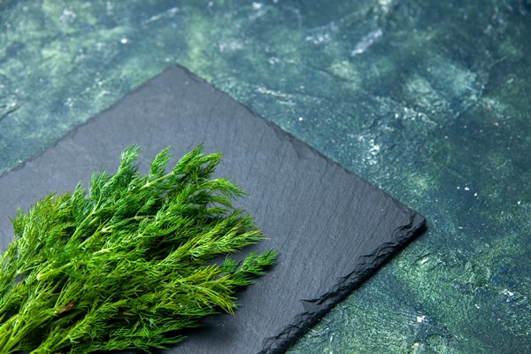 front view of fresh dill bundle on black cutting board on the right side on green black mix colors background with free space - Салат картофельный с редькой