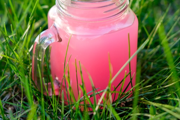 glass cup of pink smoothie or kissel on green grass - Кисель яблочный