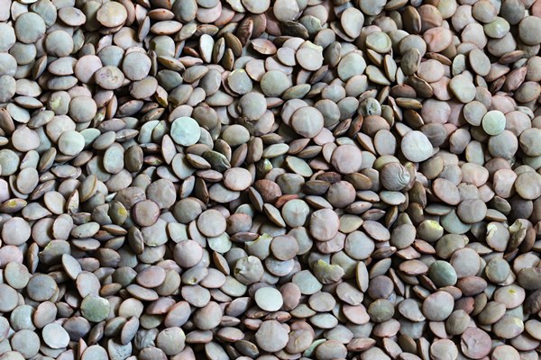green lentils detail texture background closeup of lentils background high quality photo - Чечевица со свёклой, постный стол