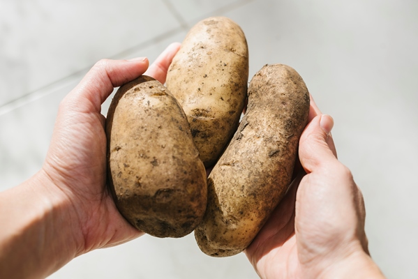 human hand holding organic potatoes - Картофель с орехами и гранатом