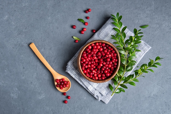 juicy forest lingonberry in a wooden bowl with spoon on dark gray table concept healthy food top view and copy space image - Яблоки печёные с брусникой