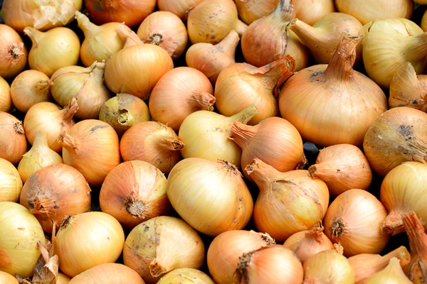 lots of bright beautiful bulb onions - Постный суп картофельный с грибами