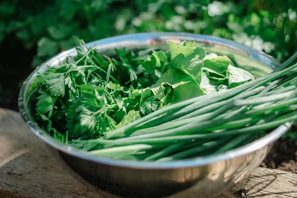 onions parsley lettuce are in a metal plate on the table a plate of fresh summer greens is on the table outside - Салат из лопуха